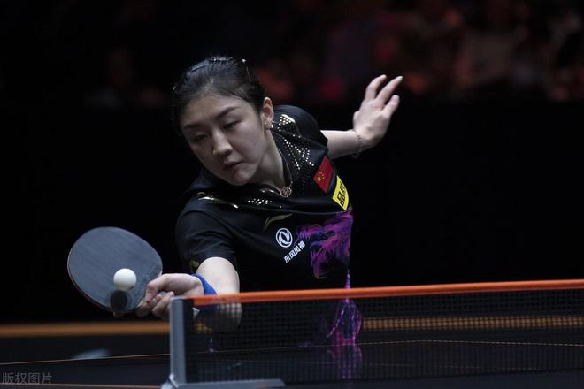 展中极具价 展中极具价