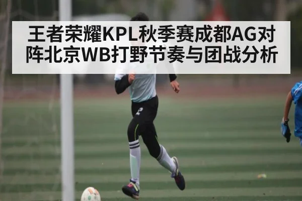 王者荣耀KPL秋季赛成都AG对阵北京WB打野节奏与团战分析